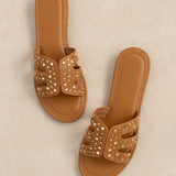 Mule Kaya Camel