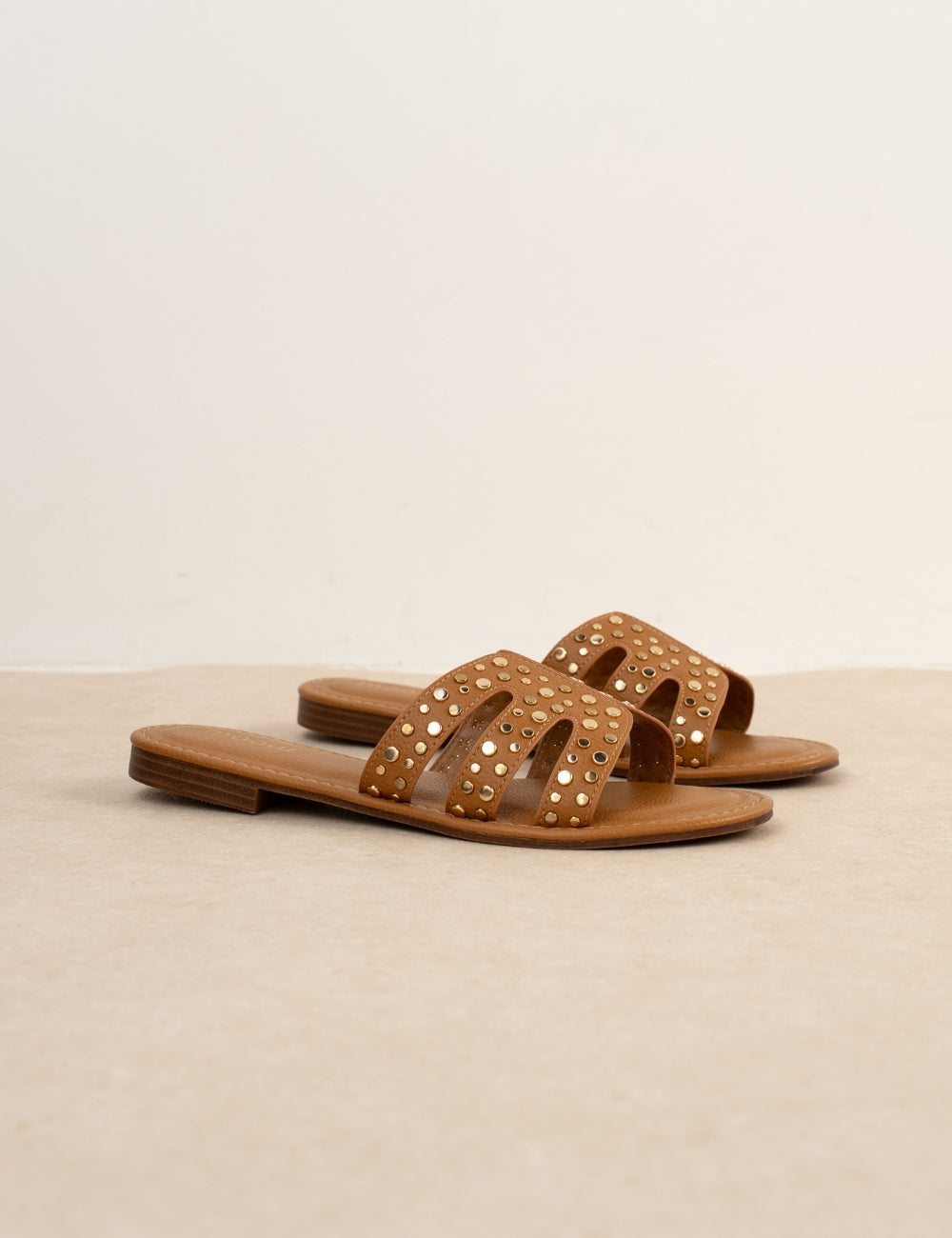Mule Kaya Camel