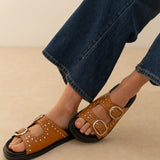 Mule Koda Camel