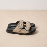 Mule Koda Sable