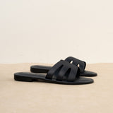 Mule Nori Marine