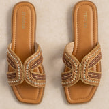 Mule Zahara Camel