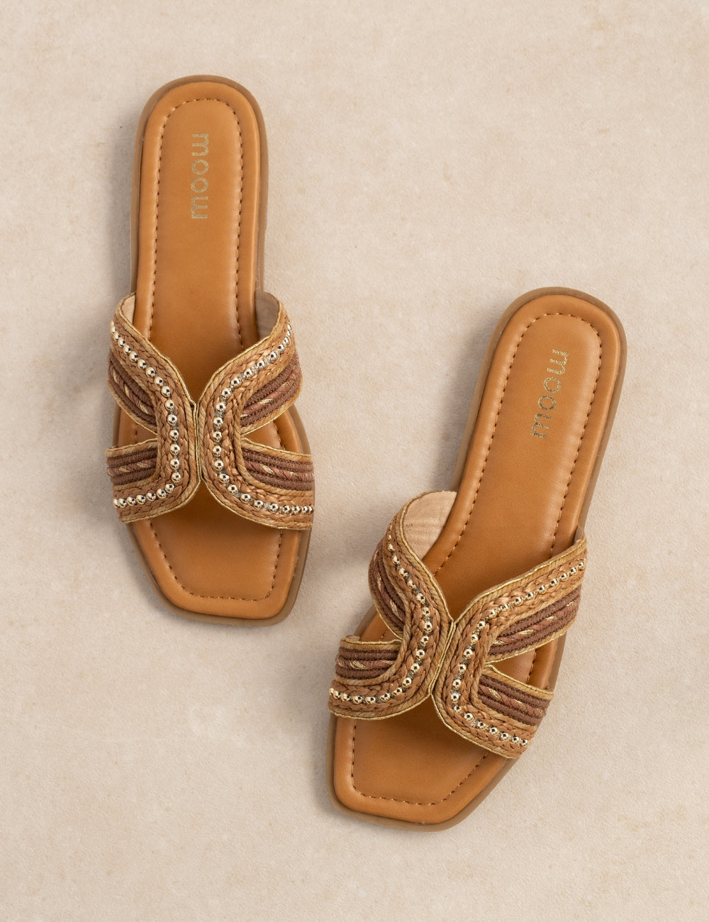 Mule Zahara Camel
