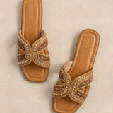 Mule Zahara Camel