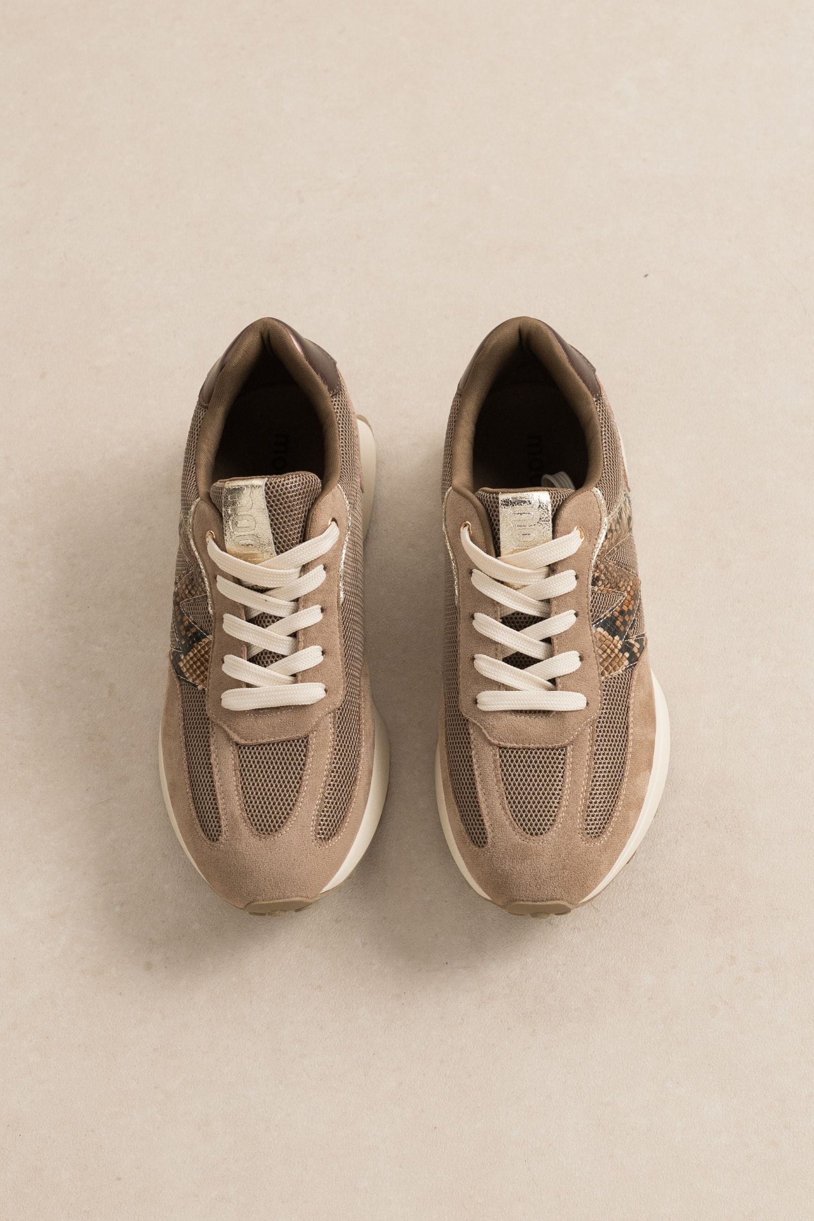 Sneakers Cano Taupe