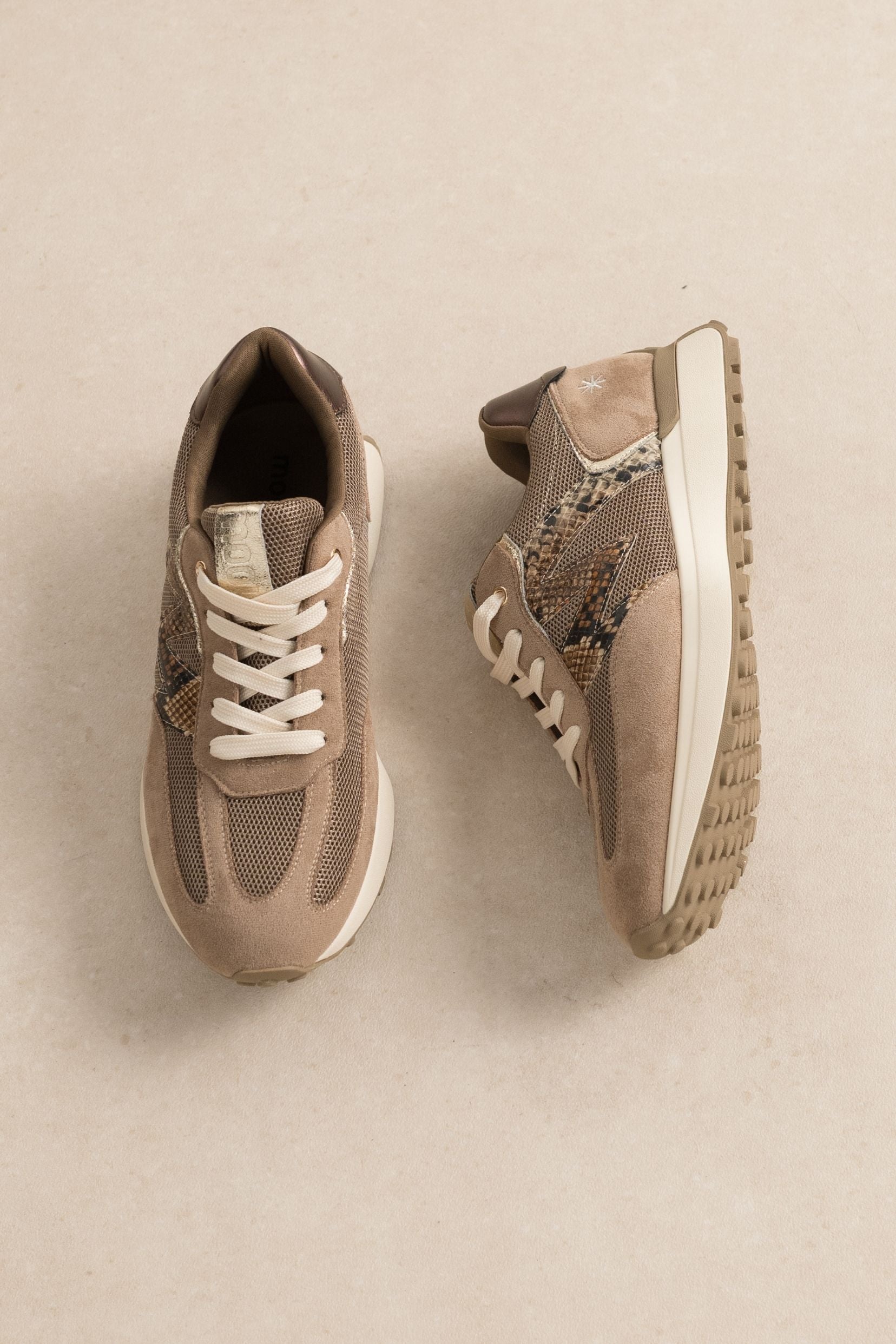 Sneakers Cano Taupe